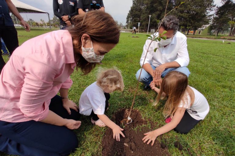 Governo mobiliza população para o plantio de 400 mil mudas de árvores nativas