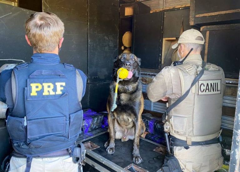 Empresário rondonense é preso com 400 quilos de maconha em Santa Catarina