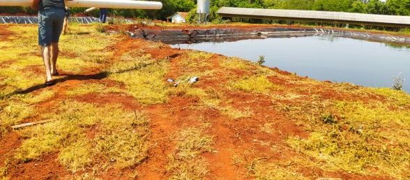 Bombeiros são mobilizados para localizar possíveis vítimas de acidente dentro de esterqueira