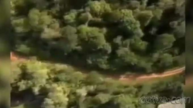 Estrada do Colono dentro do Parque Nacional do Iguaçu pode ser liberada