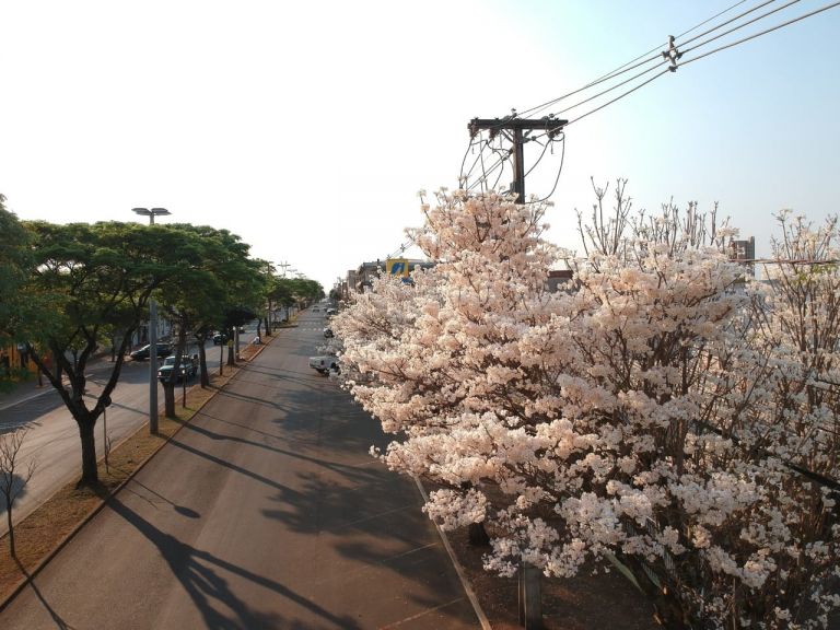 Chuva, calor? O que esperar do tempo no feriado de 07 de setembro