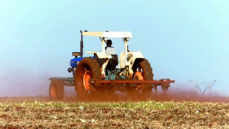 Soja: plantio da safra brasileira 24/25 está acima da média