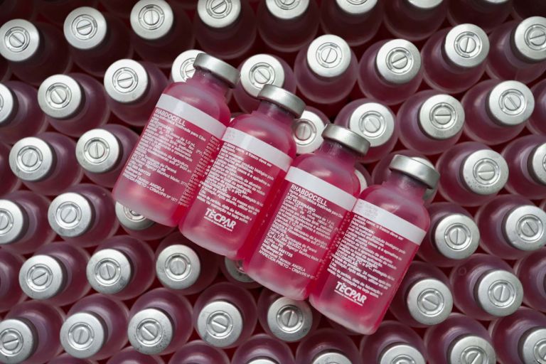 Com alta tecnologia, Tecpar produzirá 19 milhões de vacinas antirrábicas veterinárias em 2021