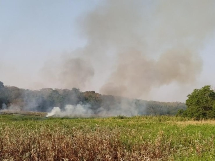 Incêndio é registrado em área de vegetação no interior de Mercedes