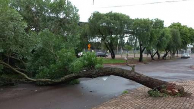 Temporal deixa mais de 160 mil sem luz e derruba torres no Paraná