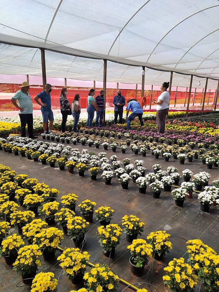 Família incrementa renda e aumenta produção de flores na região Oeste