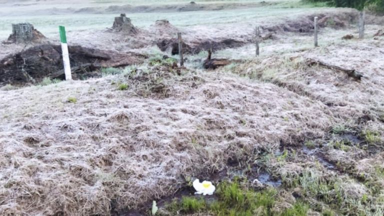 Dá para acreditar? Região Sul tem campos cobertos de gelo em pleno 20 de outubro