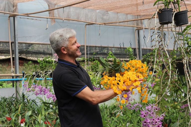 Plantas se popularizam durante a pandemia e vendas em floriculturas aumentam em Marechal Rondon