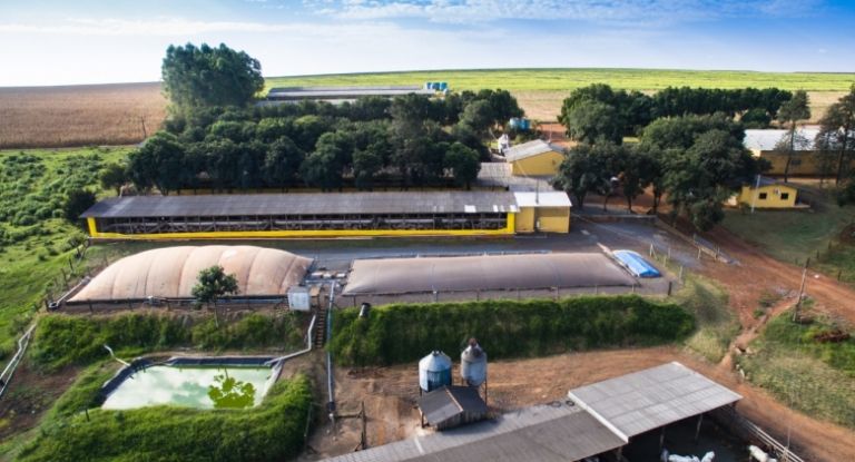 Solução para o agro amplia segurança elétrica em área rural na região Oeste