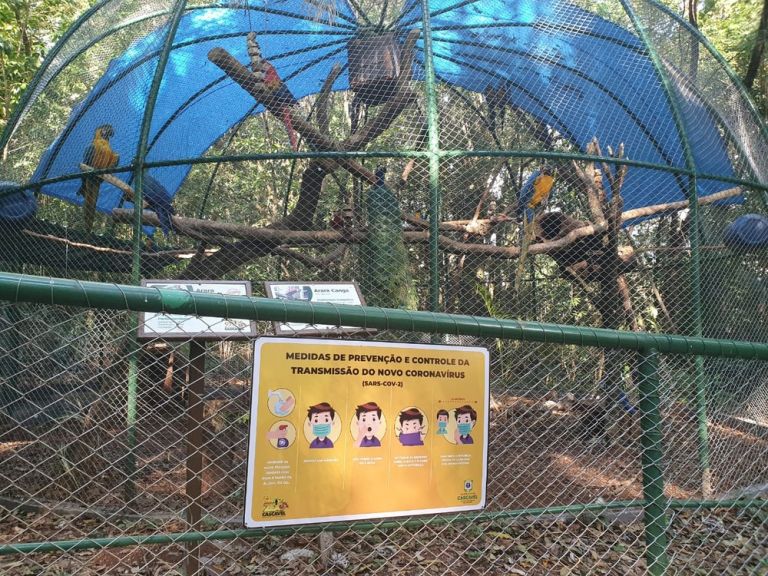 Após quedas de árvores, Zoológico de Cascavel passa por manutenção e será reaberto no feriado