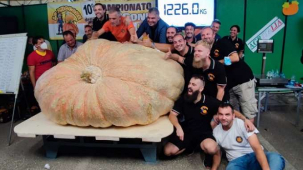 Fazendeiro colhe abóbora de 1,2 tonelada e bate recorde mundial