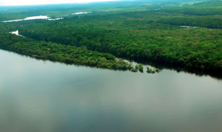 Governo Federal anuncia queda de 22,3% da taxa de desmatamento na Amazônia em 2023