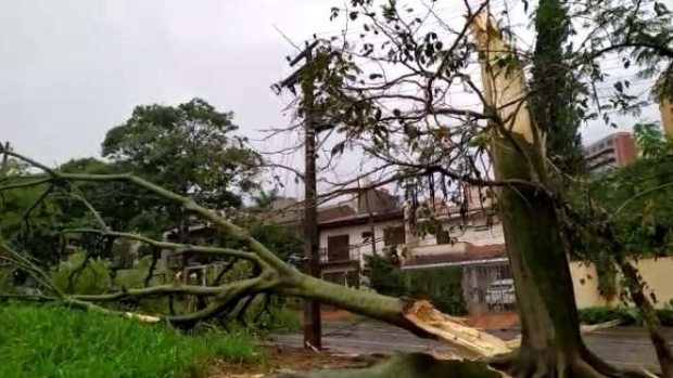Temporal deixa 435 mil domicílios sem energia no Paraná