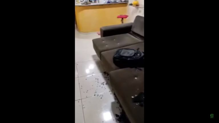 Homem é resgatado após ser feito refém por quatro dias em Foz do Iguaçu