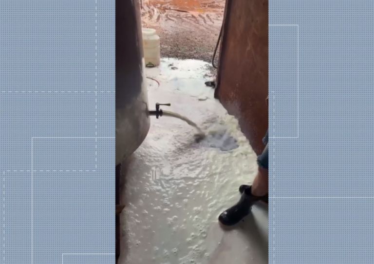 Sem luz há três dias, produtores de município da região jogam fora 300 litros de leite por falta de refrigeração