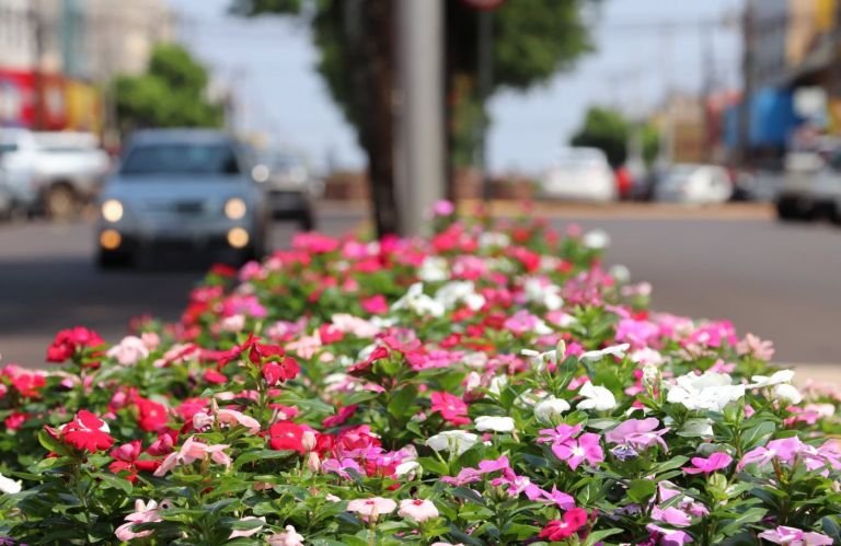 Setembro começa com temperaturas amenas em Marechal Rondon; máxima prevista para esta quinta-feira é de 31ºC
