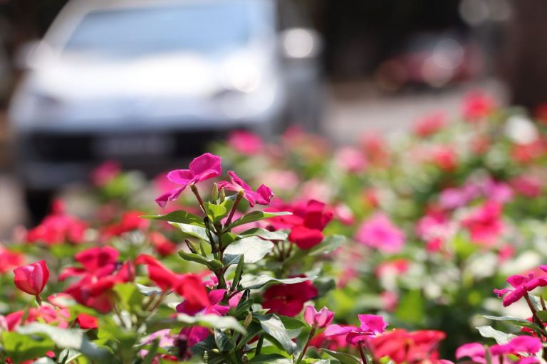 Semana tem previsão de chuva e frio para Marechal Rondon; confira
