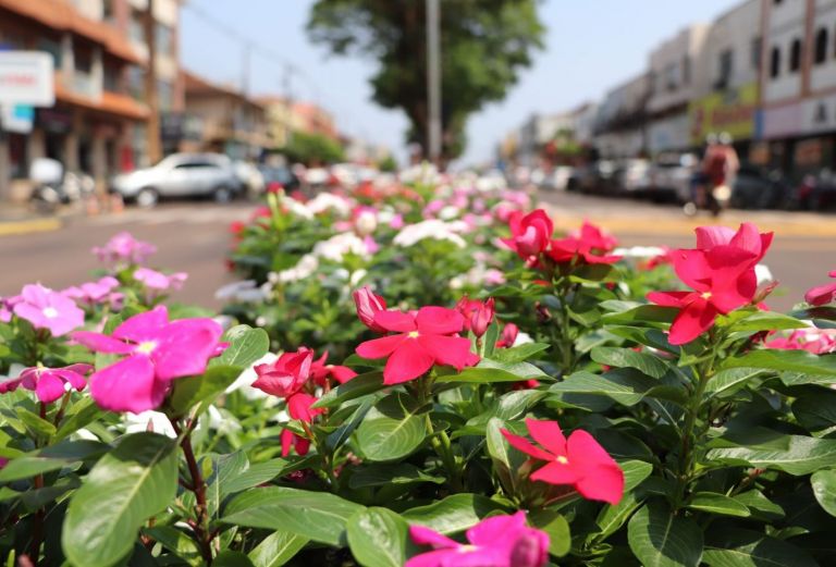Comércio rondonense atende em horário especial neste domingo