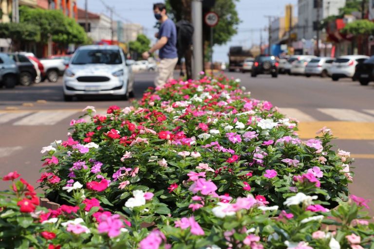 Audiência pública sobre mobilidade urbana acontece no dia 22 de janeiro