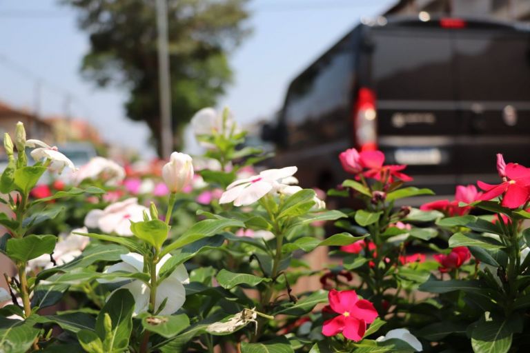 Cientistas das universidades estaduais do Paraná são destaque em ranking da América Latina