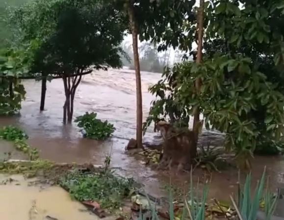 Chuva castiga Litoral e cheia de rios preocupa Defesa Civil; confira o vídeo