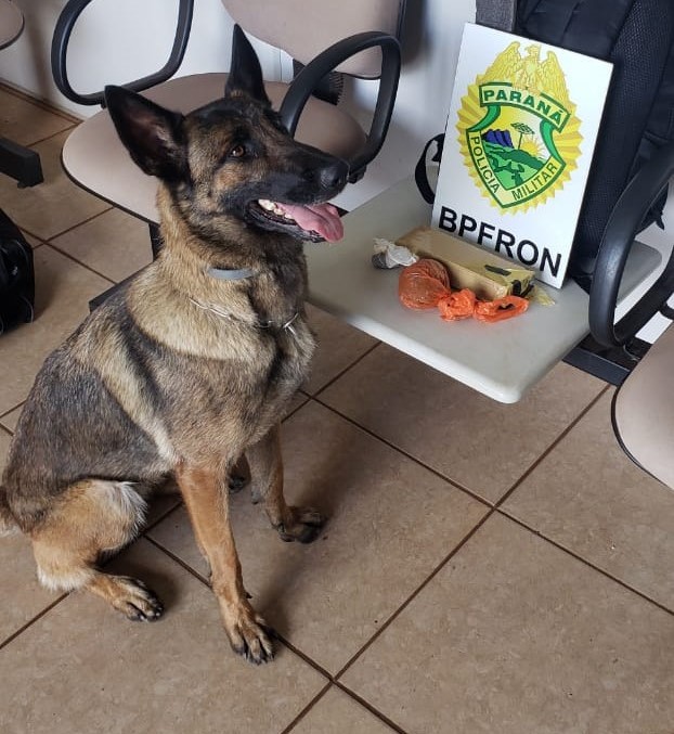 BPFron apreende droga na cidade de Pato Bragado