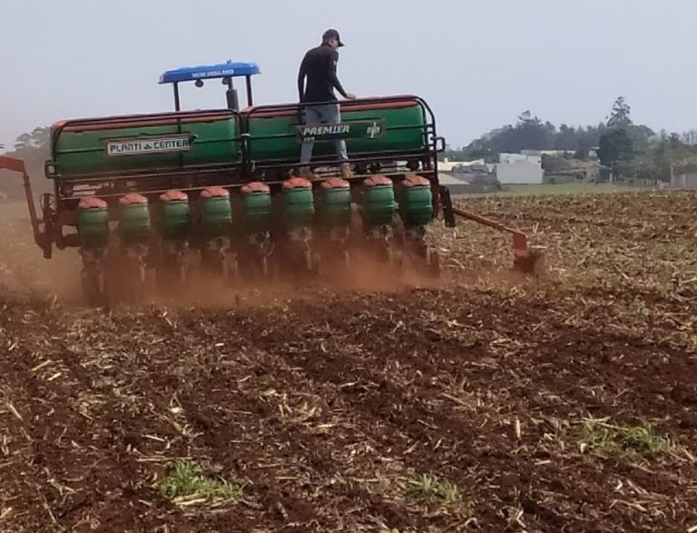 80% das lavouras já foram plantadas com soja na microrregião