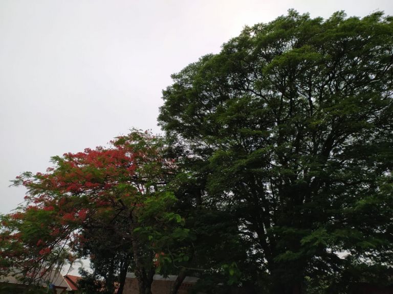 Sábado tem possibilidade de temporal e previsão de 39 milímetros de chuva para Marechal Rondon