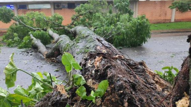 Cerca de 192 mil unidades estão sem energia nas regiões Oeste e Sudoeste do Paraná