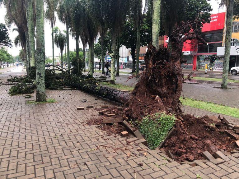 Paraná tem 45,8 mil imóveis sem energia neste sábado, informa Copel