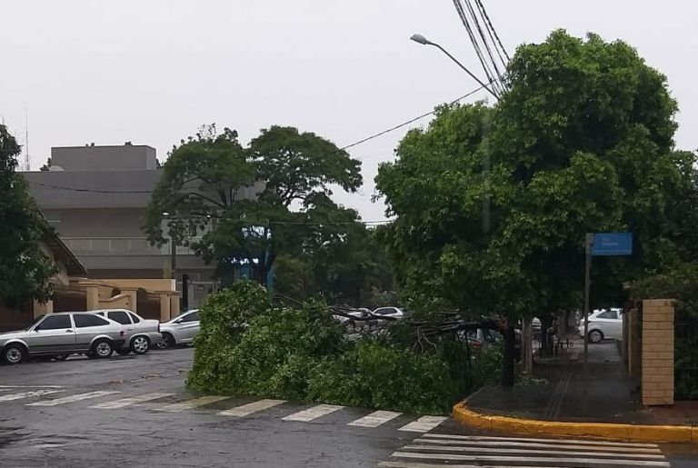 Cerca de 12 mil unidades consumidoras seguem sem energia elétrica na região de Marechal Rondon