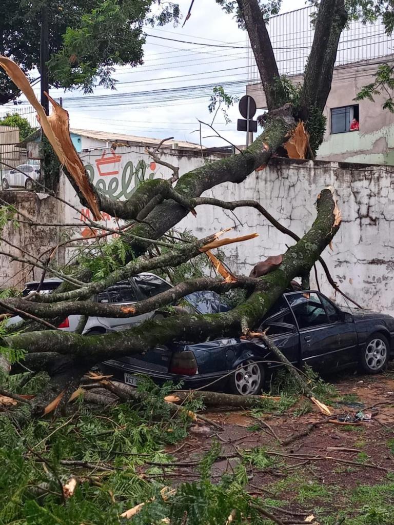 Chuva e ventos fortes deixam estragos em Foz do Iguaçu e Francisco Beltrão