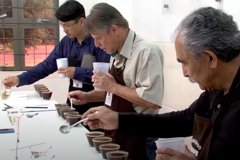 Concurso Café Qualidade Paraná divulga os vencedores de 2021