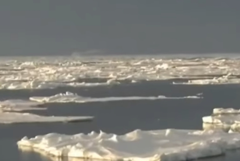 Oceano Ártico sofre com superaquecimento antes do esperado, segundo estudo