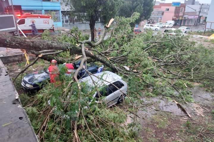 Equipes da Copel trabalham para recompor redes após temporal de domingo