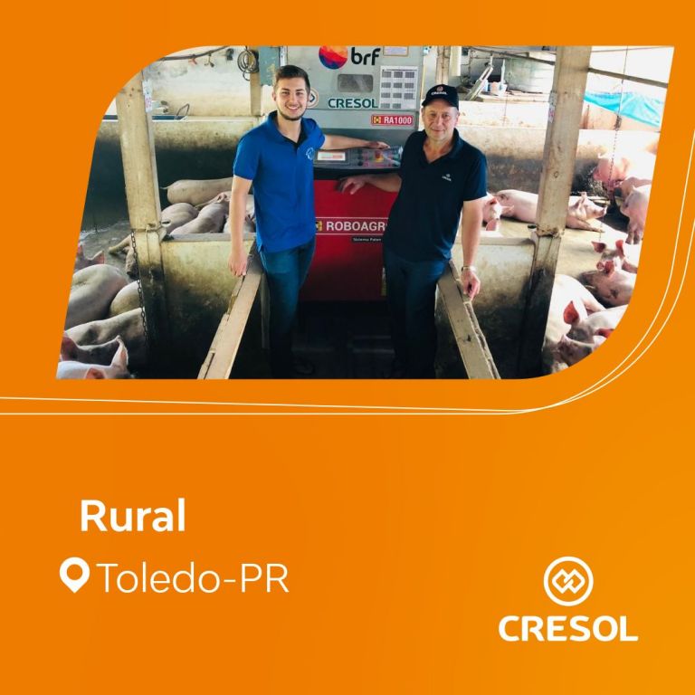 Cooperado Cresol investe em tecnologia para elevar a produção de suínos