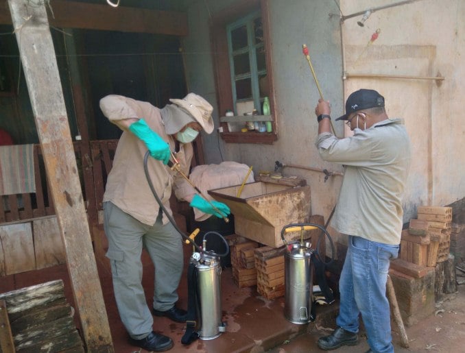 Órgãos emitem errata sobre caso do bicho barbeiro em Marechal Rondon