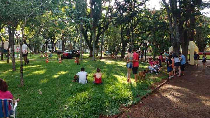 6º Encontro de Cães acontecerá no mês de dezembro em Marechal Rondon