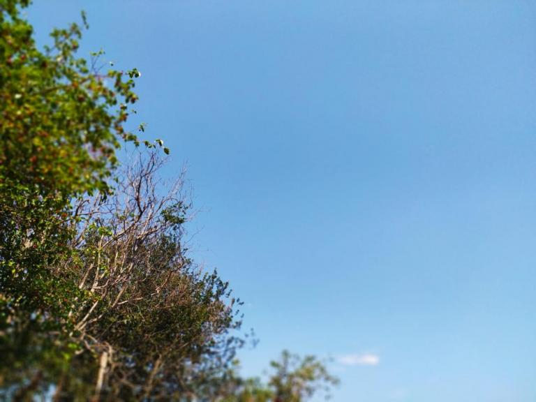 Clima agradável, sol e máxima de 26ºC: confira a previsão do tempo para Marechal Rondon