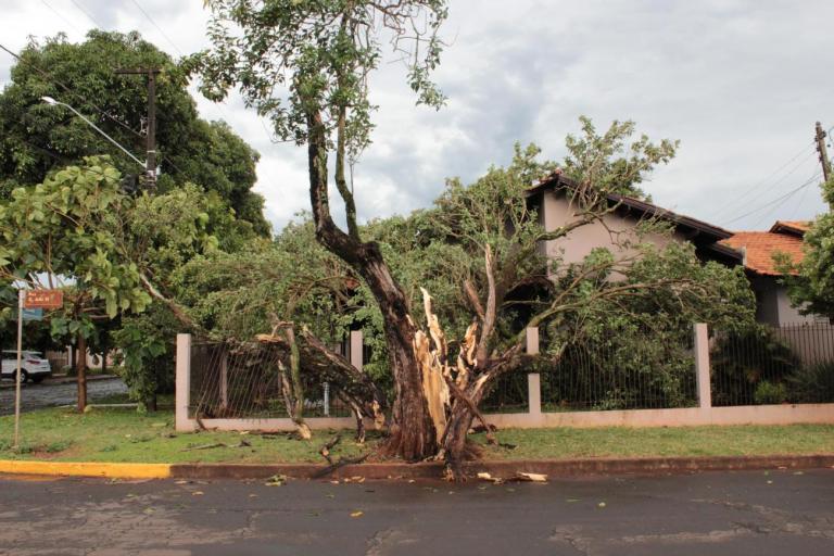 Temporal causa estragos em Marechal Rondon; Copel trabalha para normalizar abastecimento de energia