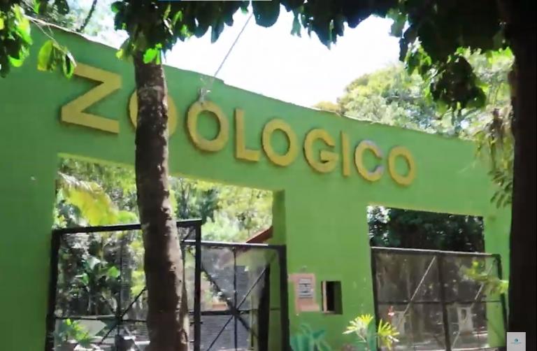 Animais são transferidos para fechamento do Zoológico de Foz do Iguaçu