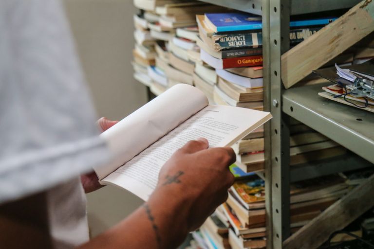 TJ-PR derruba lei que prevê o homeschooling no Paraná