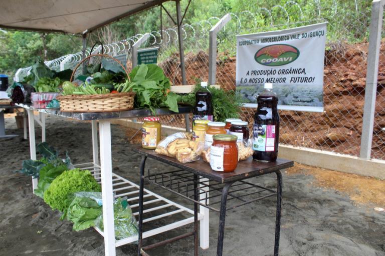 Governo apoia fortalecimento da agroindústria familiar por meio do programa Pró-Rural