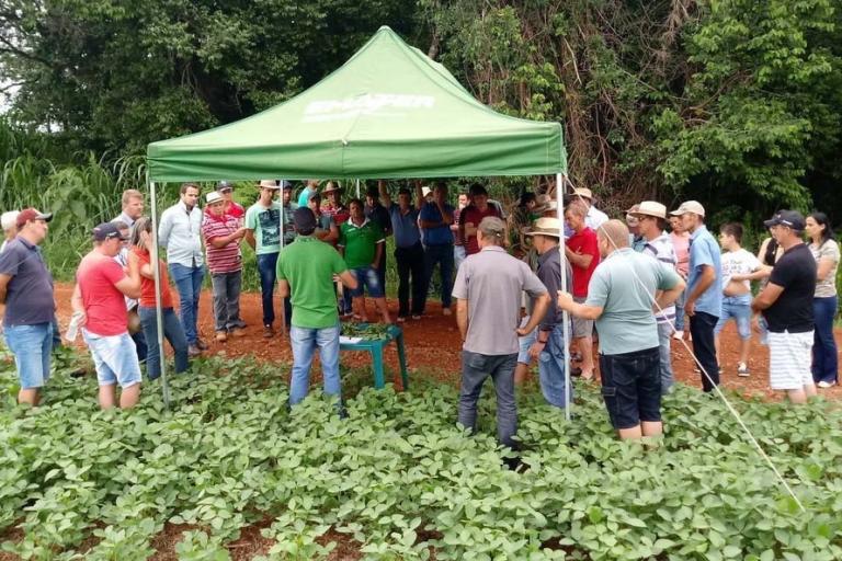 IDR-Paraná e Embrapa mostram resultados de tecnologias agrícolas no Giro Técnico da Soja