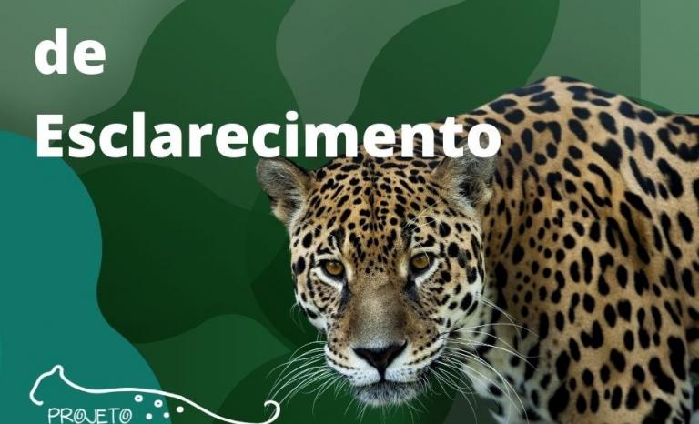 Projeto Onças do Iguaçu emite nota após onças invadirem Parque das Aves