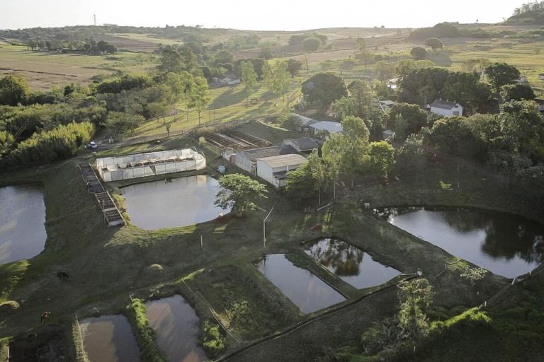 Estação de Piscicultura da UEM expande pesquisas e ganha projeção internacional
