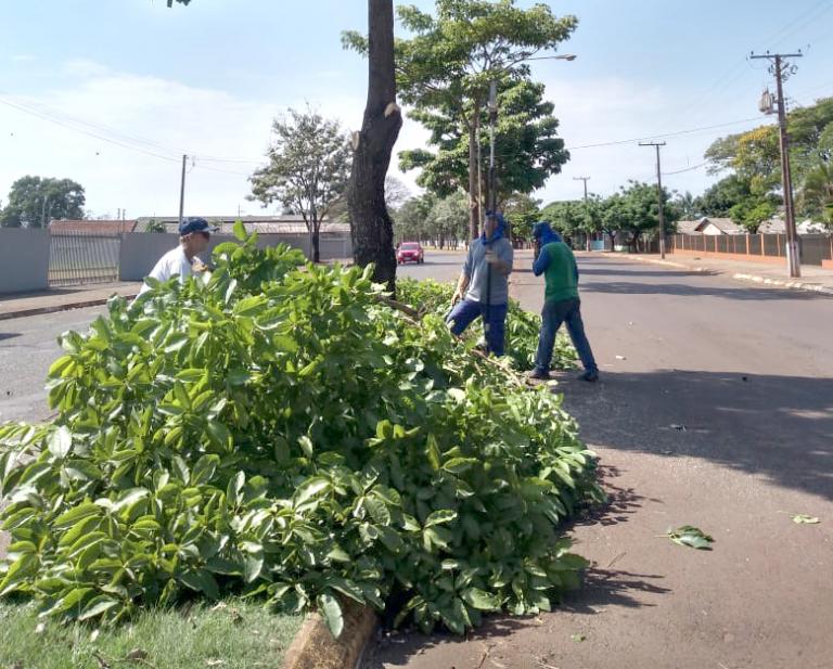 Apesar de não sair da pauta, plano de arborização segue estagnado em Marechal Rondon