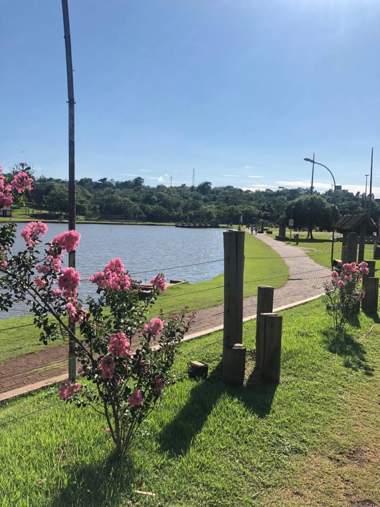Sol predomina no domingo; chuvas estão previstas para quinta-feira