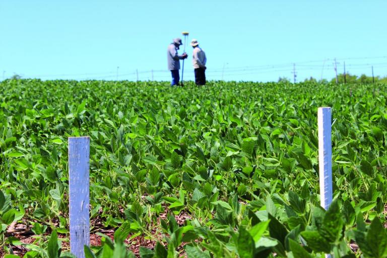 Seguro rural: Governo do Paraná disponibiliza R$ 12 milhões