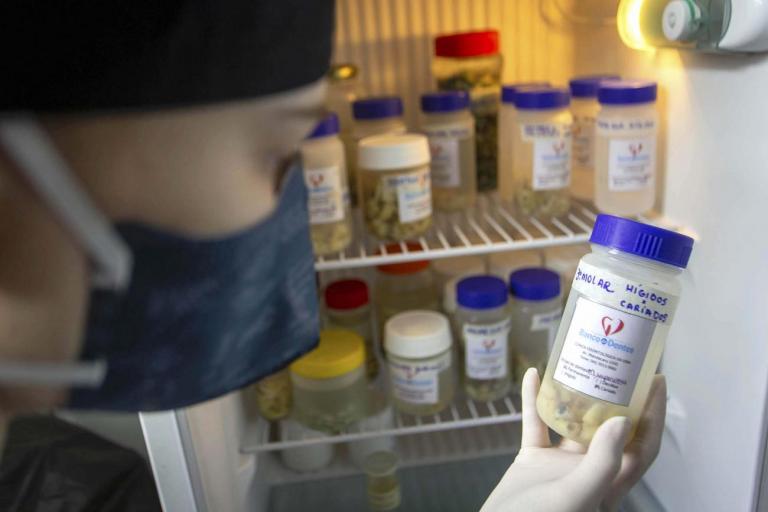 Banco de Dente Humano da UEM recebe doações; saiba como colaborar